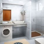 (50 photos) Layout of a bathroom with shower in a private house