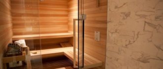 (62 photos) Interior ideas with a sauna in an apartment 62 photos