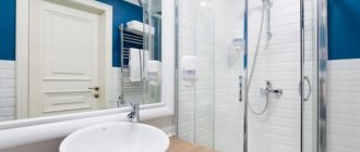 75 bathroom design ideas with shower (photo)