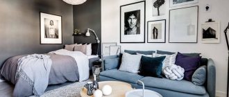 Design of a living room combined with a bedroom (90 photos)
