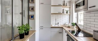 Narrow kitchen design: 65 beautiful ideas (photos)