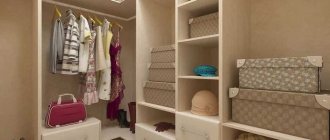 идея яркого дизайна гардеробной комнаты