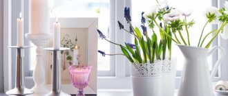 how to decorate a window sill