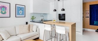 small kitchen living room design photo