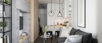 Zoning a studio apartment in a modern style